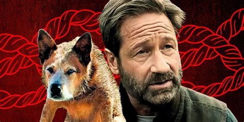 pet sematary: bloodlines pdvd|'Pet Sematary Bloodlines' Sets 4K, Blu.
